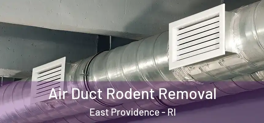  Air Duct Rodent Removal East Providence - RI