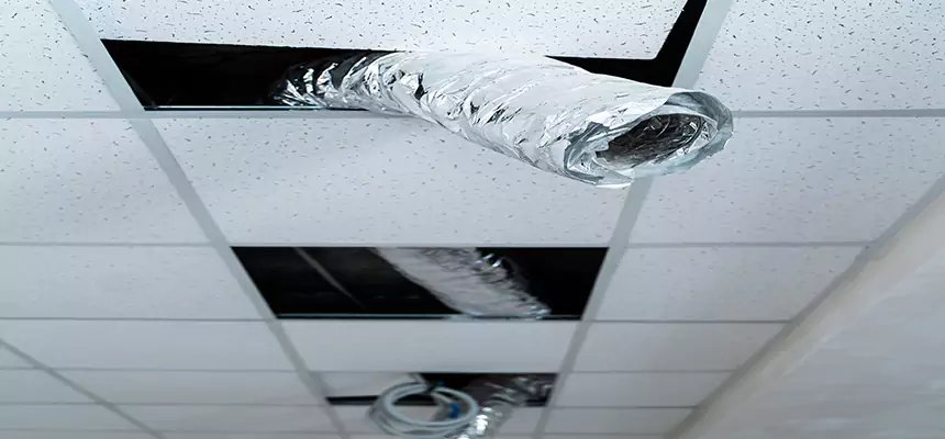 Our Air Duct Pet Hair Removal Services in East Providence, RI