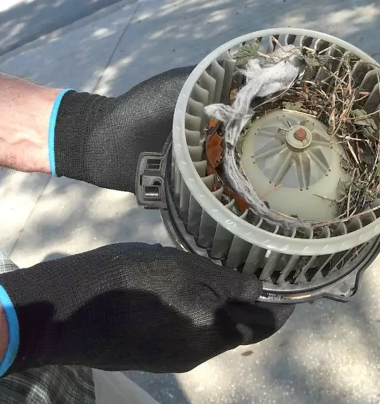 About Air Duct Mice Removal in East Providence, RI