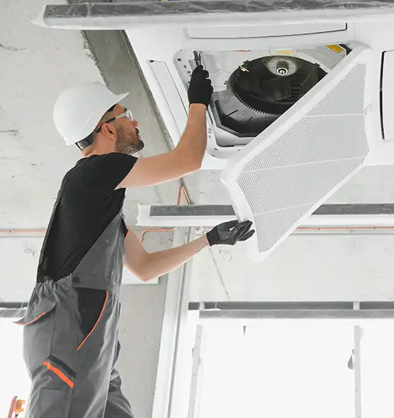 About Air Duct Rodent Removal in East Providence, RI