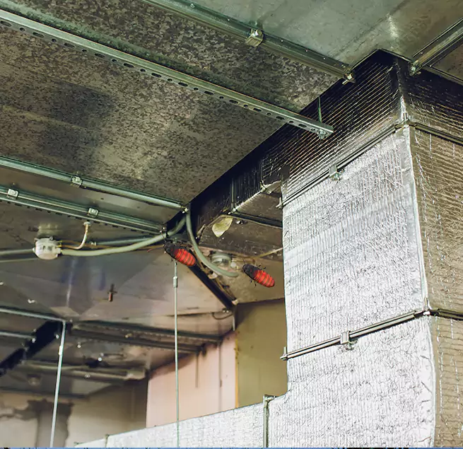 Why Homeowners & Businesses Trust Us in East Providence, RI?