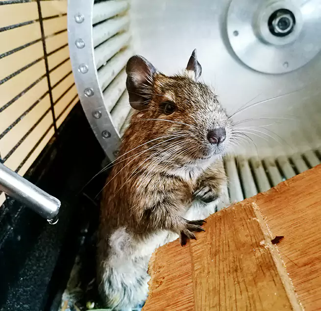 Why Homeowners & Businesses Trust Us East Providence, RI?